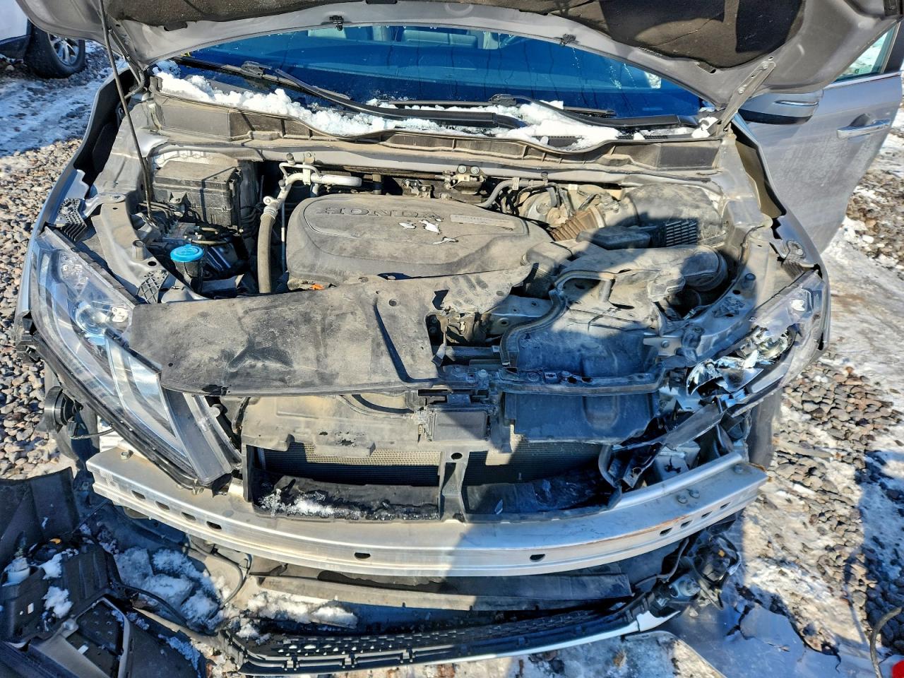 2019 Honda Odyssey Exl VIN: 5FNRL6H78KB092577 Lot: 95648745