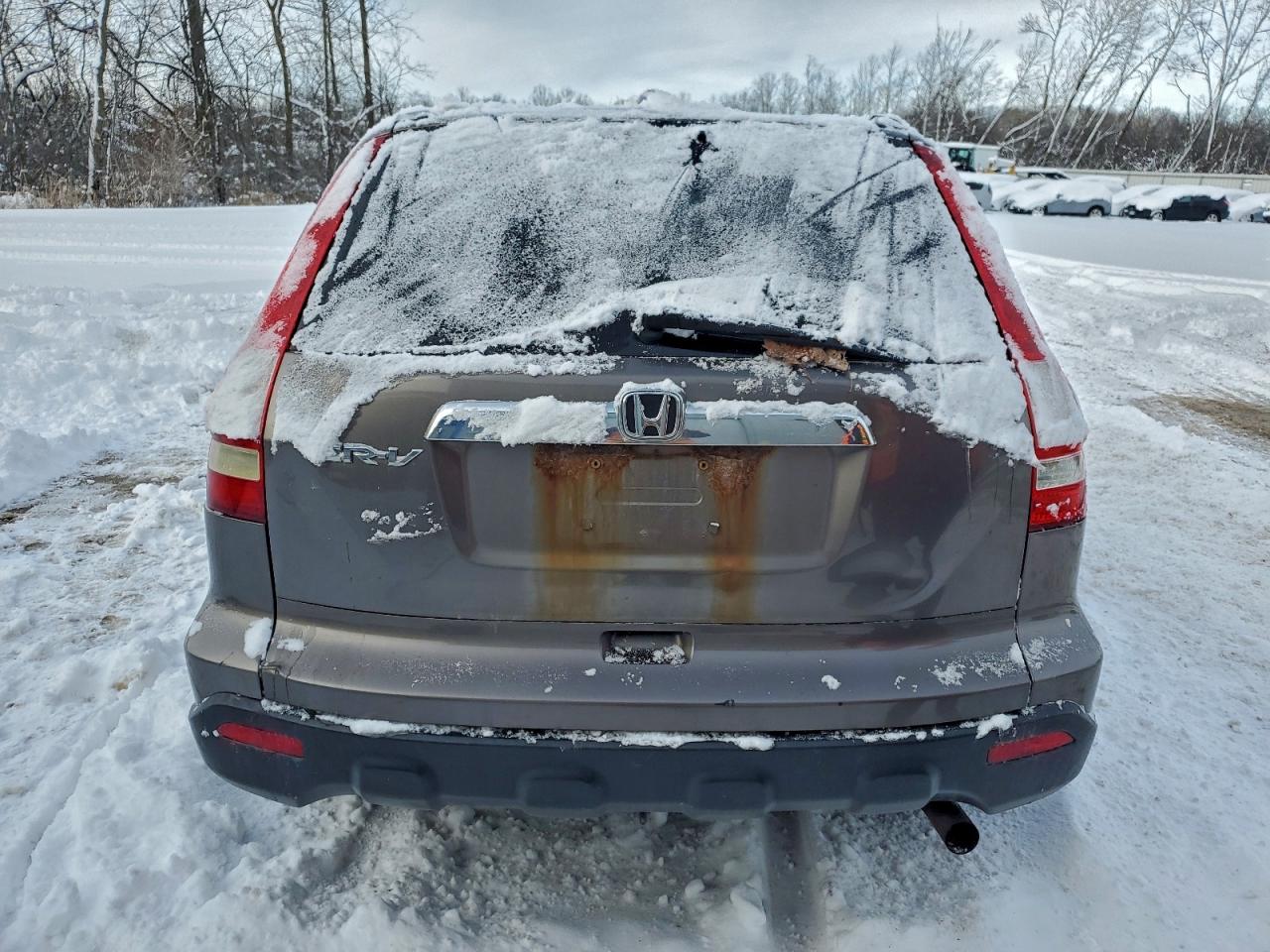 2009 Honda Cr-V Exl VIN: 5J6RE48769L025637 Lot: 94385935