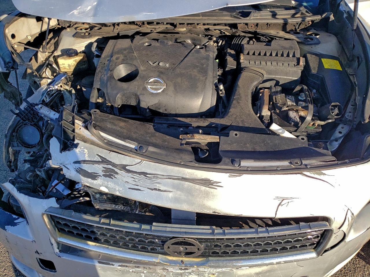 2009 Nissan Maxima S VIN: 1N4AA51E49C822343 Lot: 95183065