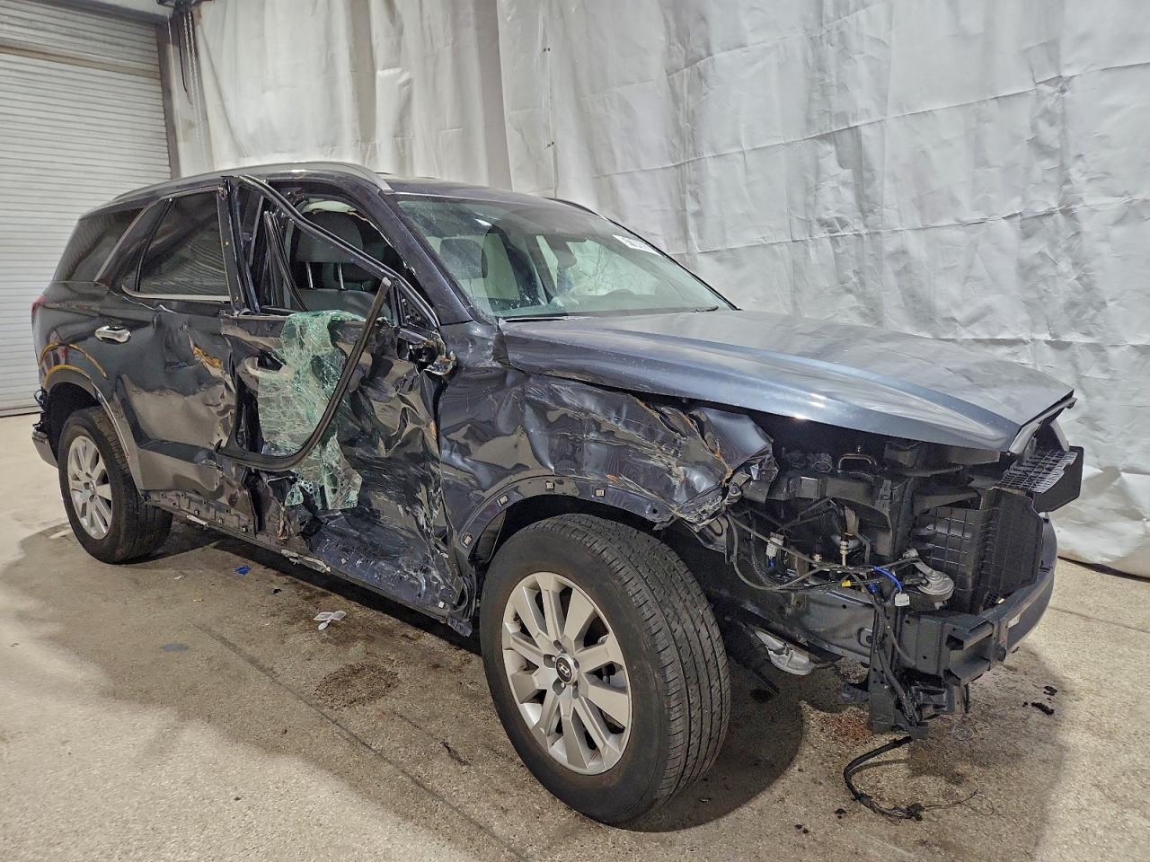 2024 Hyundai Palisade Sel VIN: KM8R24GE7RU788562 Lot: 97104505