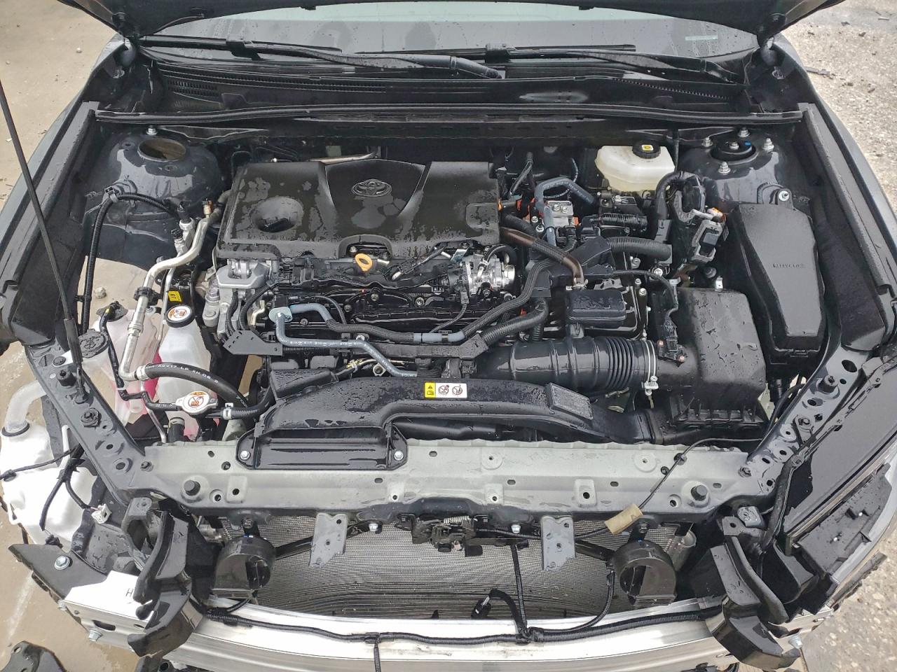 2025 Toyota Camry Xse VIN: 4T1DAACK6SU131880 Lot: 93646055