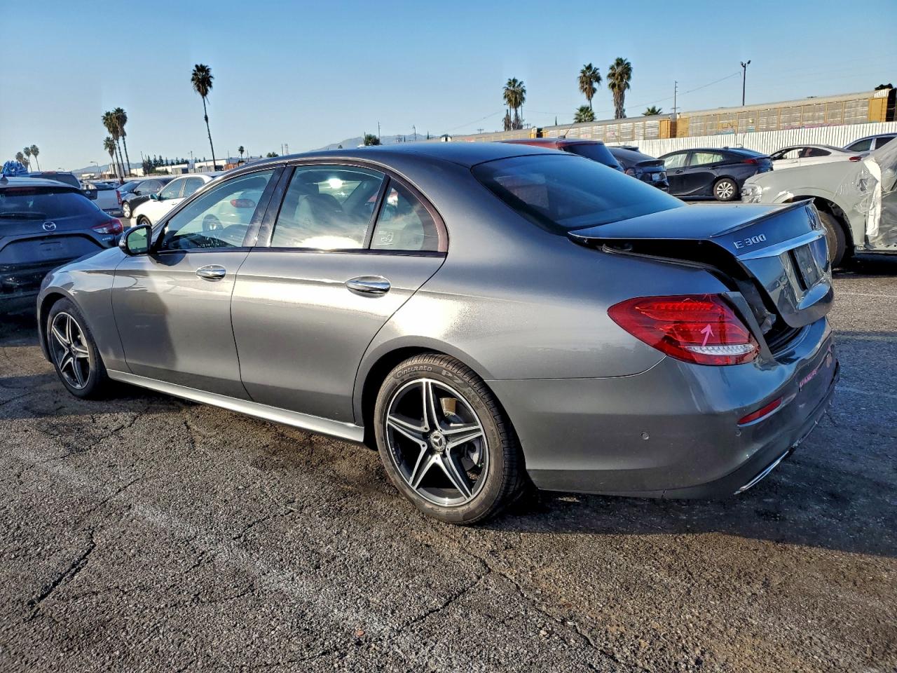 V (W213, S213, C238)