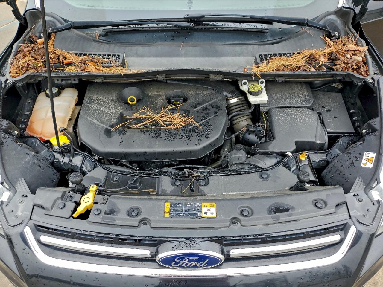 2013 Ford Escape Titanium VIN: 1FMCU9J9XDUD90392 Lot: 93542365