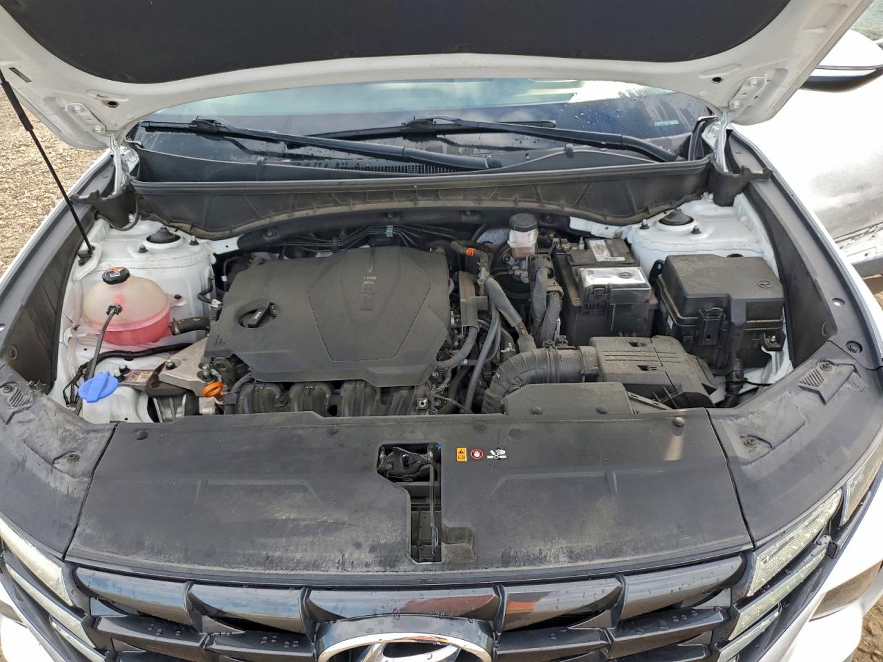 2023 Hyundai Tucson Sel VIN: 5NMJBCAE8PH204338 Lot: 96771065