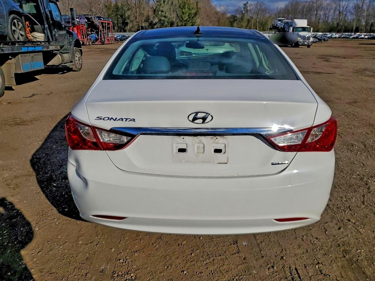 2013 Hyundai Sonata Se VIN: 5NPEC4AC5DH569562 Lot: 96798575