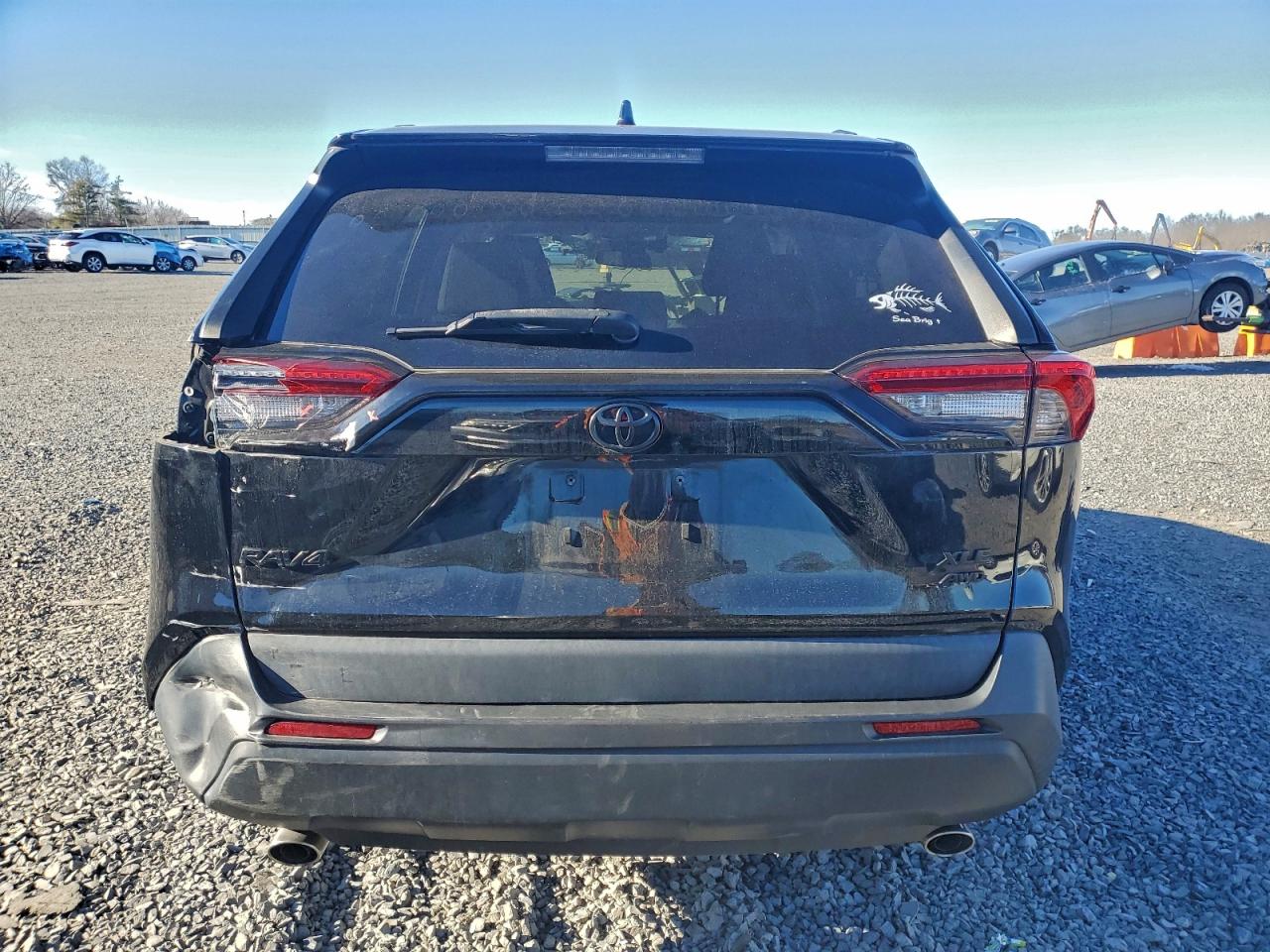 2020 Toyota Rav4 Xle VIN: 2T3P1RFV2LW094286 Lot: 96554935