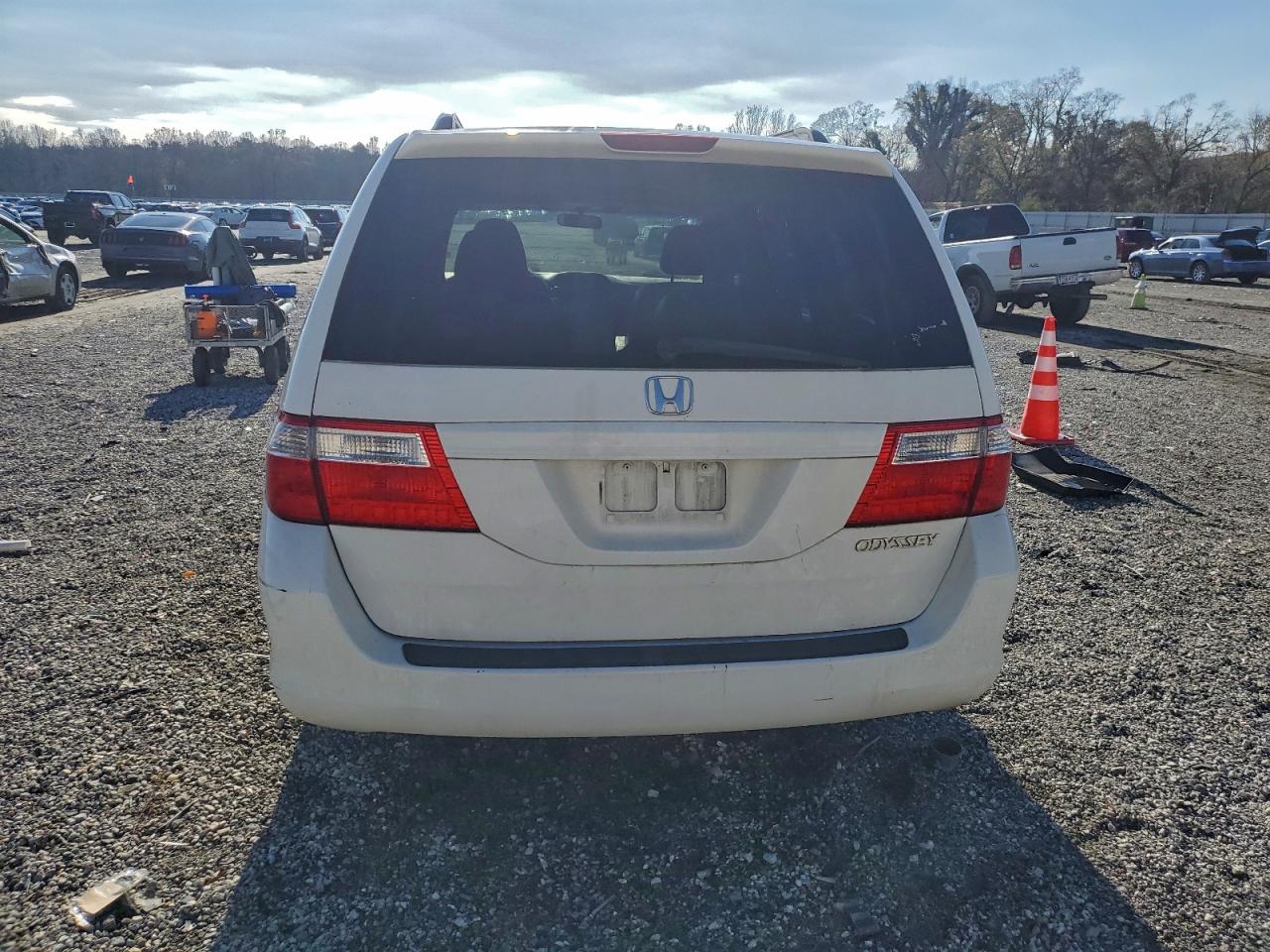 2007 Honda Odyssey Exl VIN: 5FNRL38687B448989 Lot: 95128545