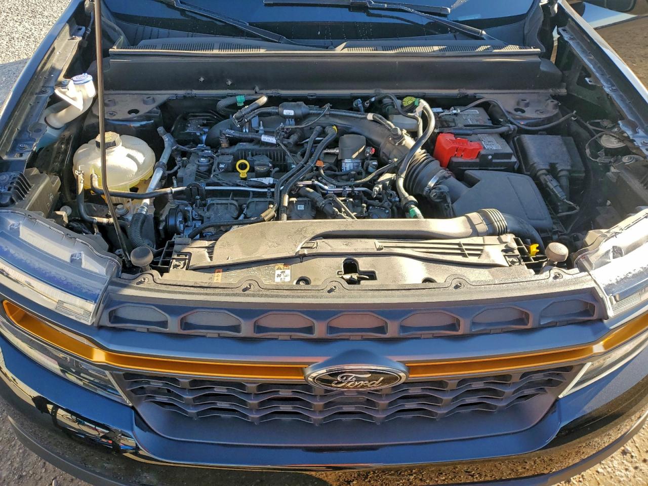 2024 Ford Maverick Xlt Tremor VIN: 3FTTW8C91RRB34680 Lot: 94901185