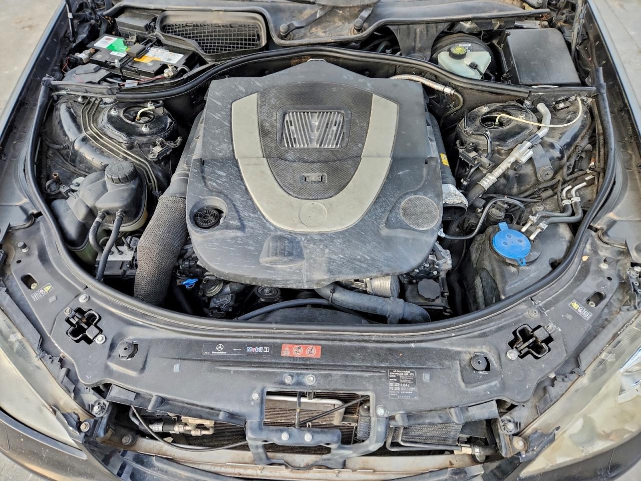 2009 Mercedes-Benz S 550 VIN: WDDNG71X19A251645 Lot: 95920945