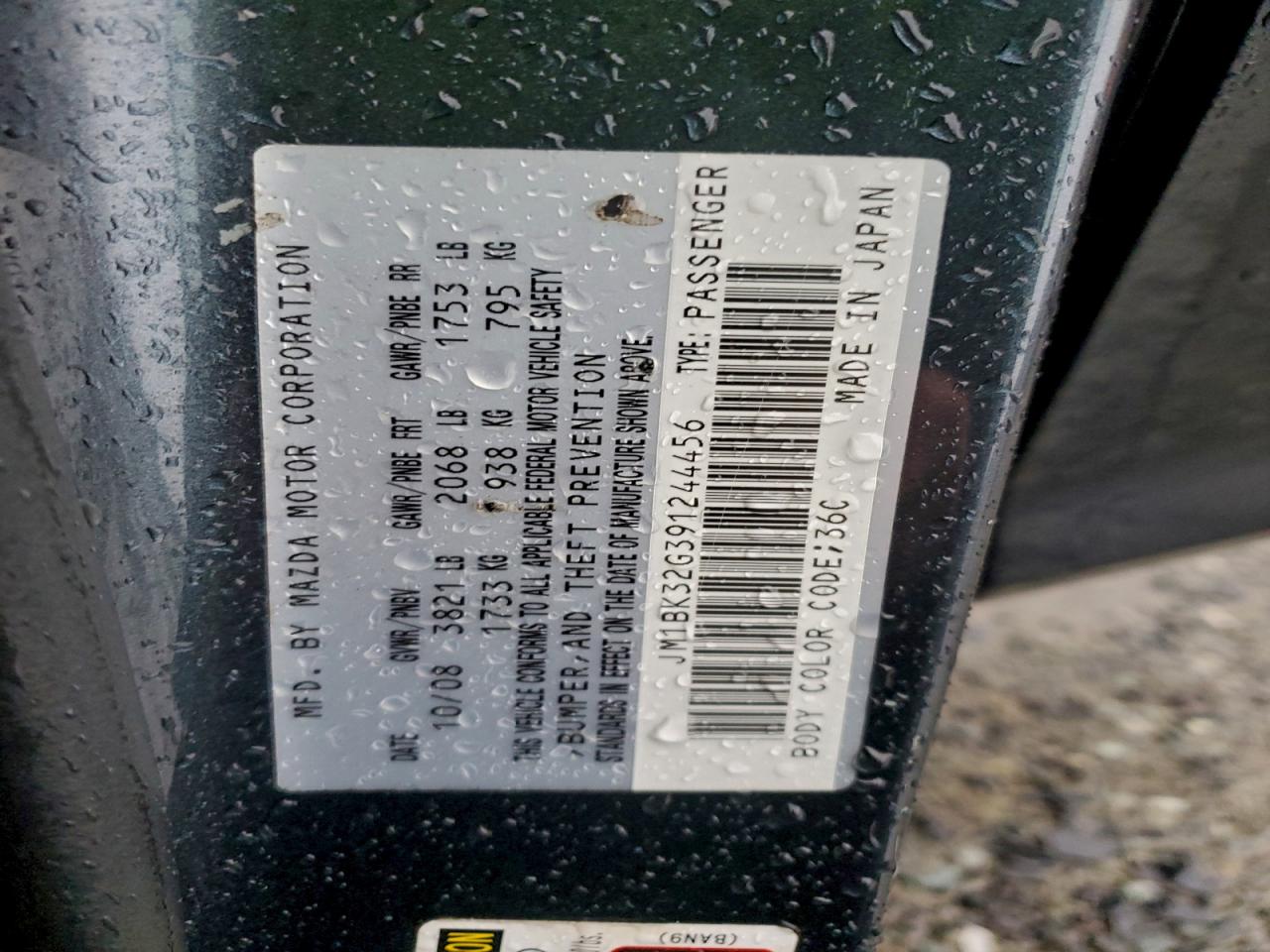 2009 Mazda 3 I VIN: JM1BK32G391244456 Lot: 96009995