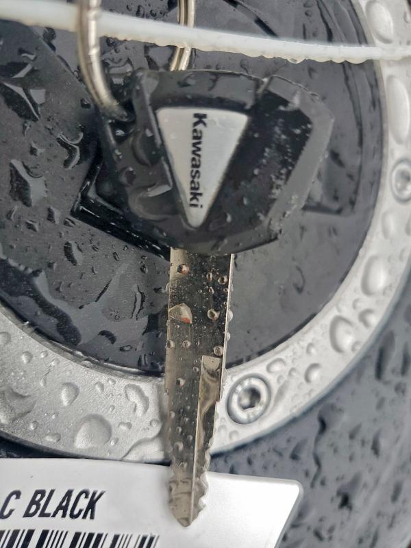 2025 KAWASAKI EN650 C  