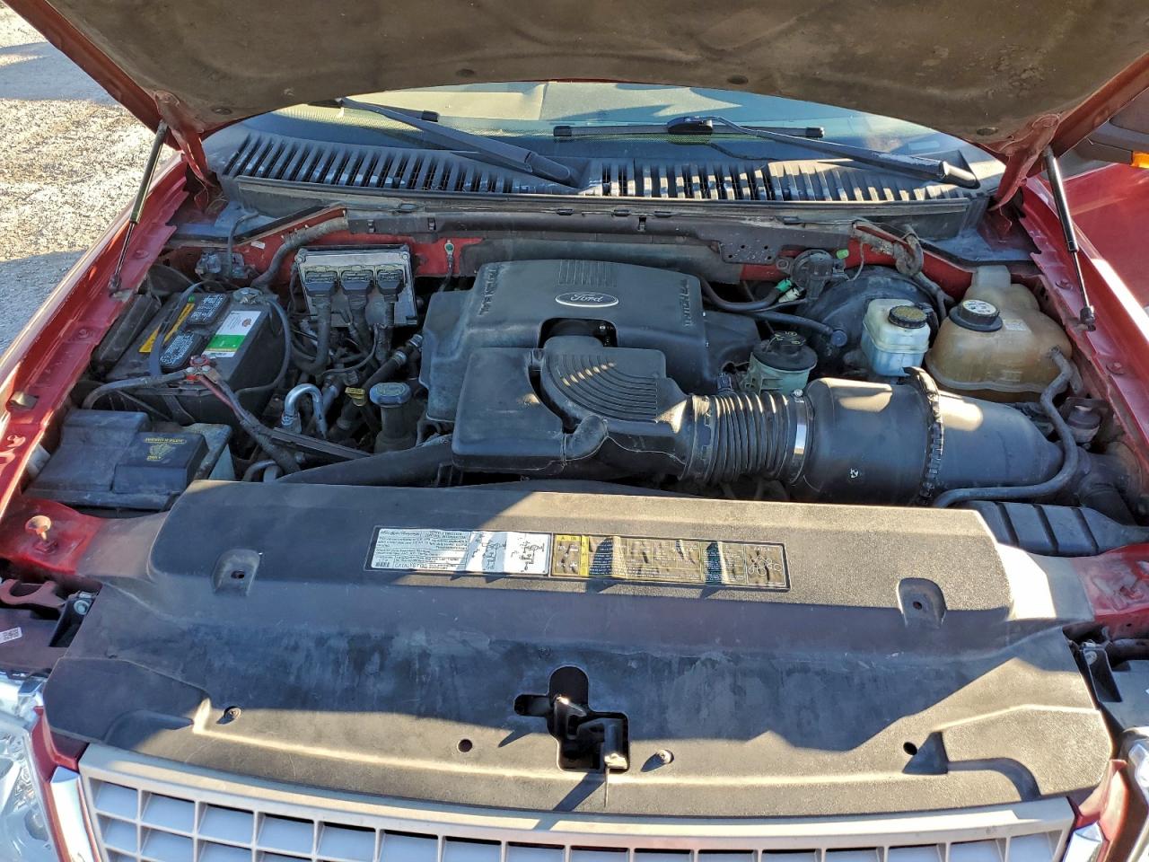 2004 Ford Expedition Eddie Bauer VIN: 1FMPU18L34LB16638 Lot: 94808775