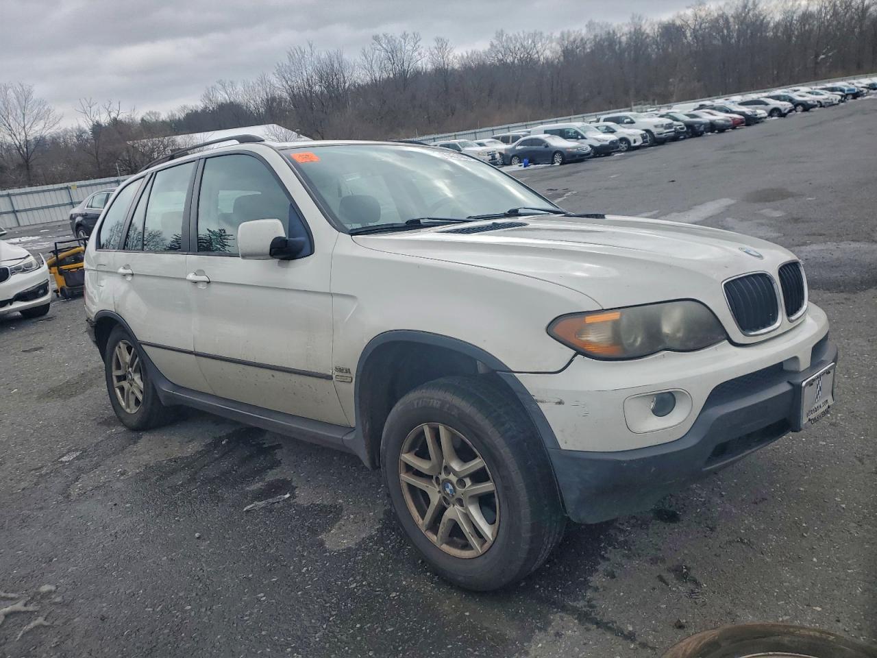 Фото: 5UXFA13515LY10150