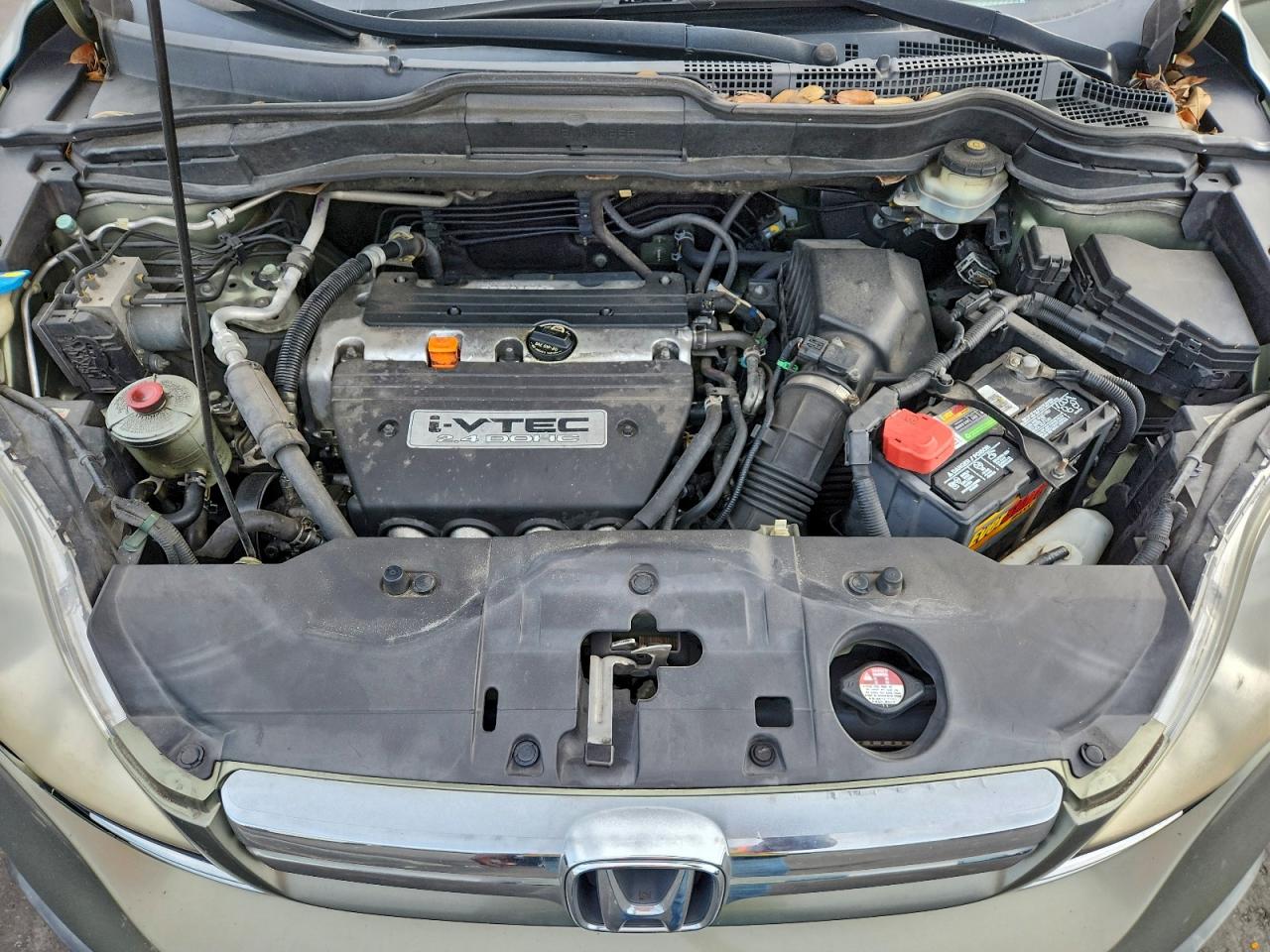 2007 Honda Cr-V Exl VIN: JHLRE38727C021942 Lot: 95743785