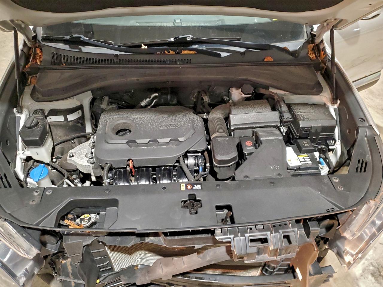 2019 Hyundai Santa Fe Se VIN: 5NMS2CAD1KH046087 Lot: 94696285