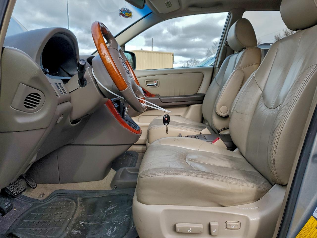 2002 Lexus Rx 300 VIN: JTJHF10U520263319 Lot: 94307765