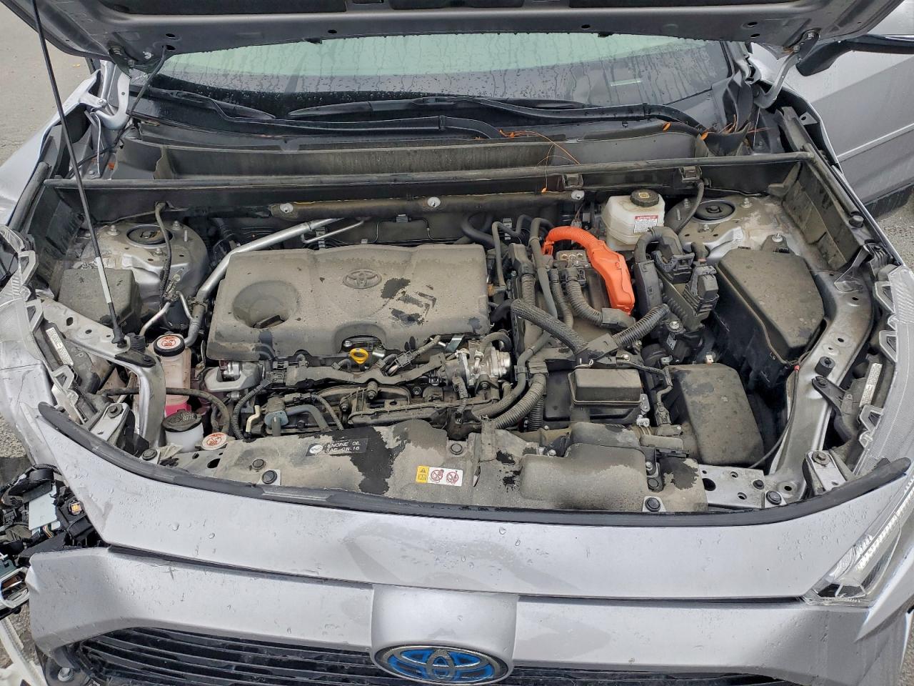 2024 Toyota Rav4 Se VIN: JTM16RFV0RD120395 Lot: 95011975