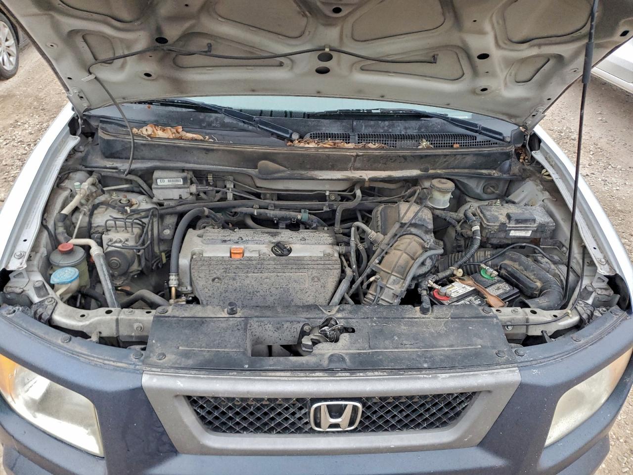 2006 Honda Element Lx VIN: 5J6YH18396L013086 Lot: 94175245