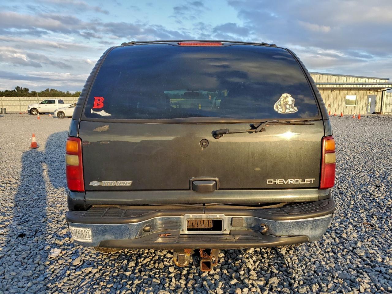 2003 Chevrolet Tahoe K1500 VIN: 1GNEK13Z63J297264 Lot: 94718455