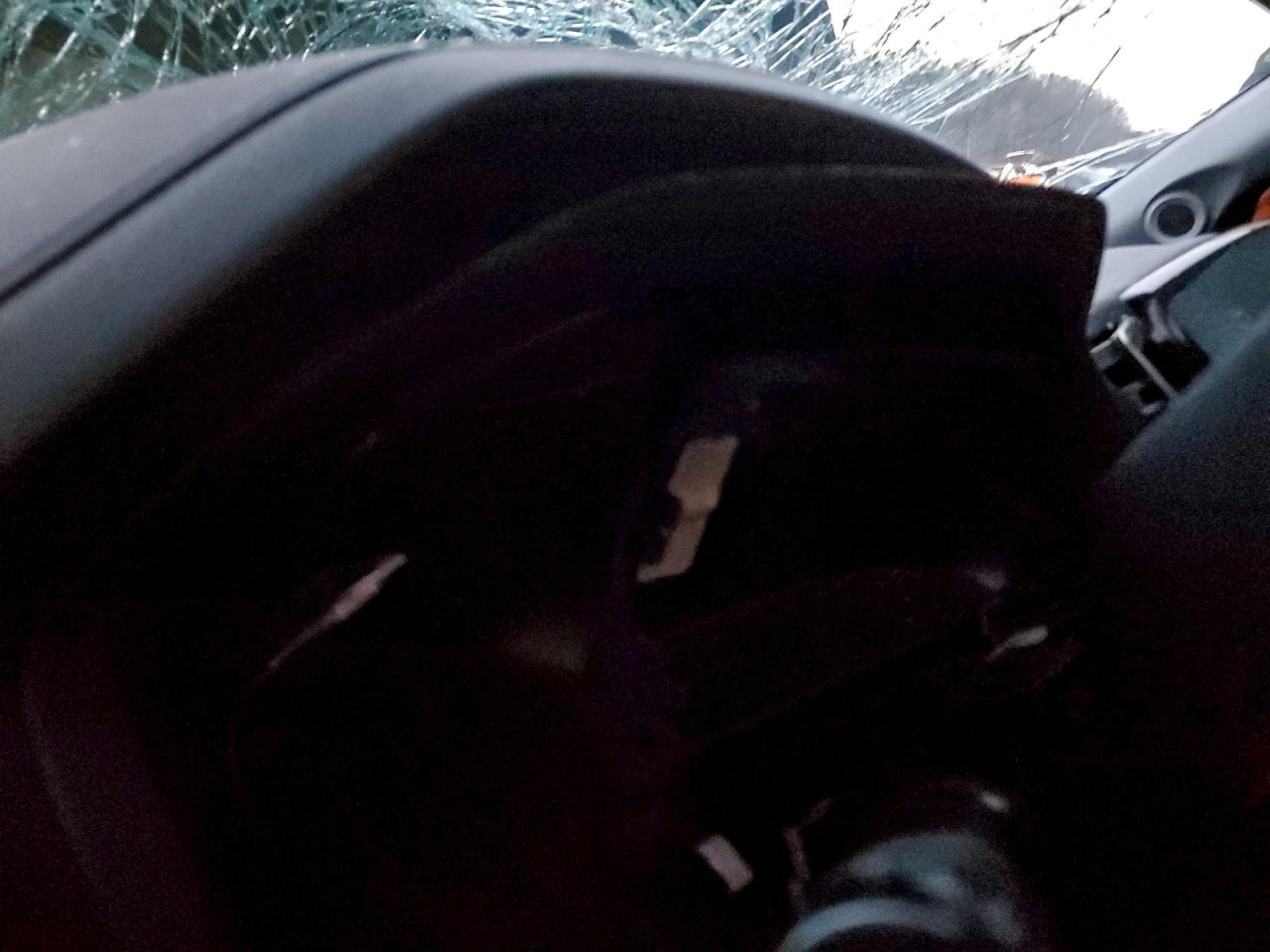 2019 Honda Pilot Exl VIN: 5FNYF6H56KB084415 Lot: 94431075