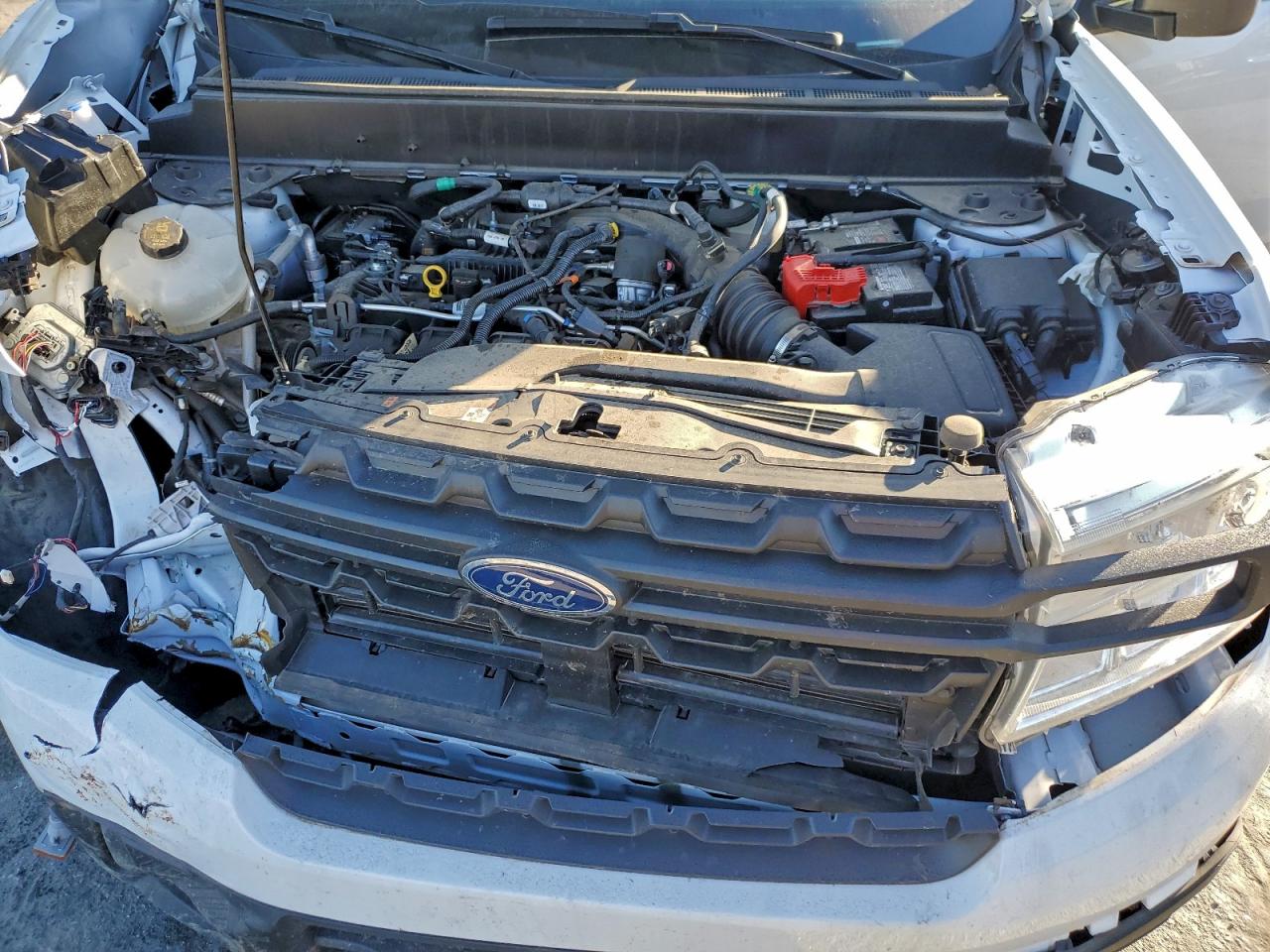 2024 Ford Maverick Xl VIN: 3FTTW8A94RRA92816 Lot: 96523545