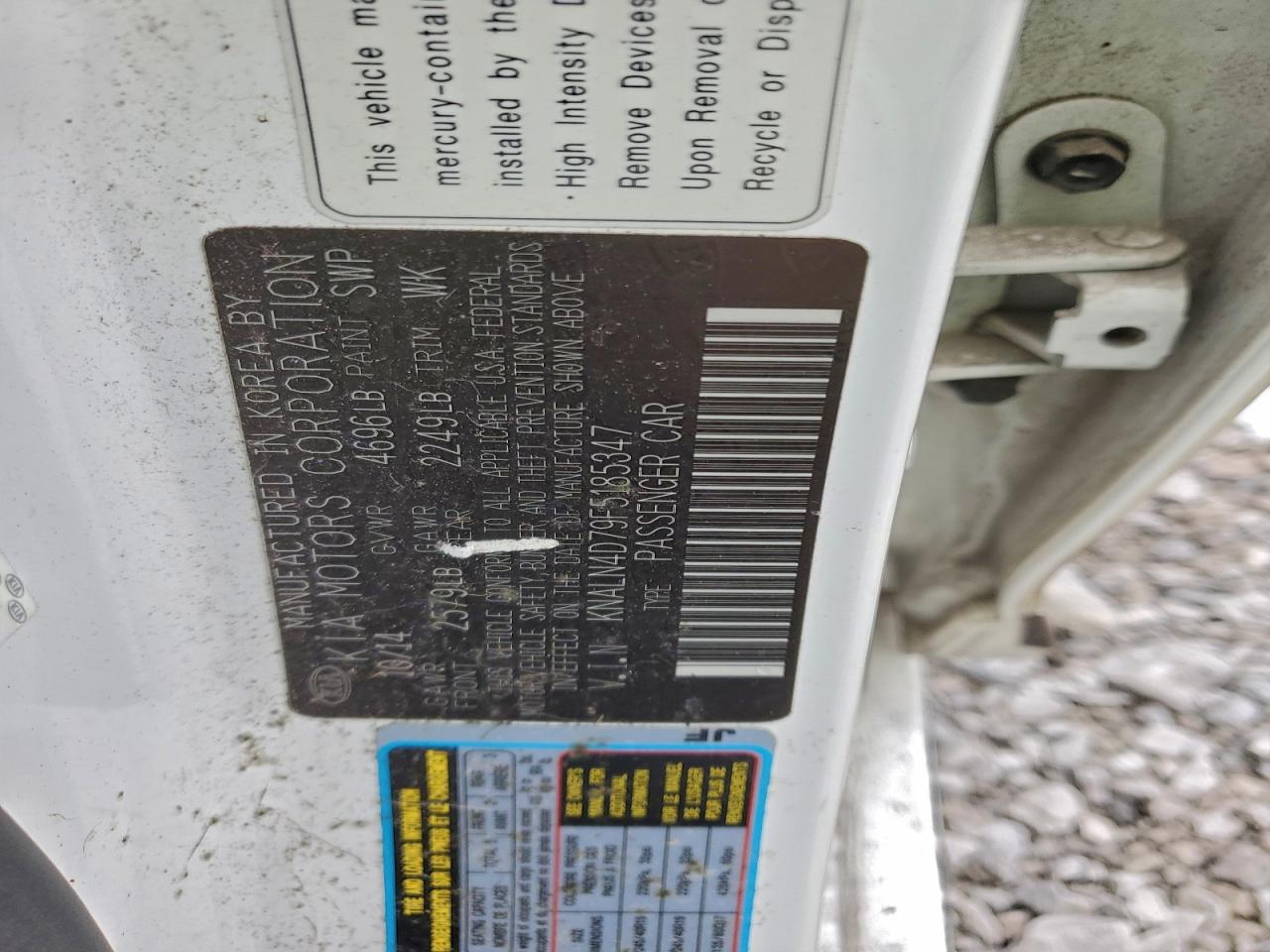 2015 Kia Cadenza Premium VIN: KNALN4D79F5185347 Lot: 96294515