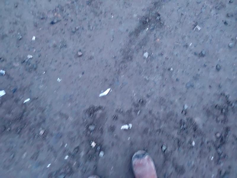 2011 FORD KA 1.3 TDCI ZETEC 3DR