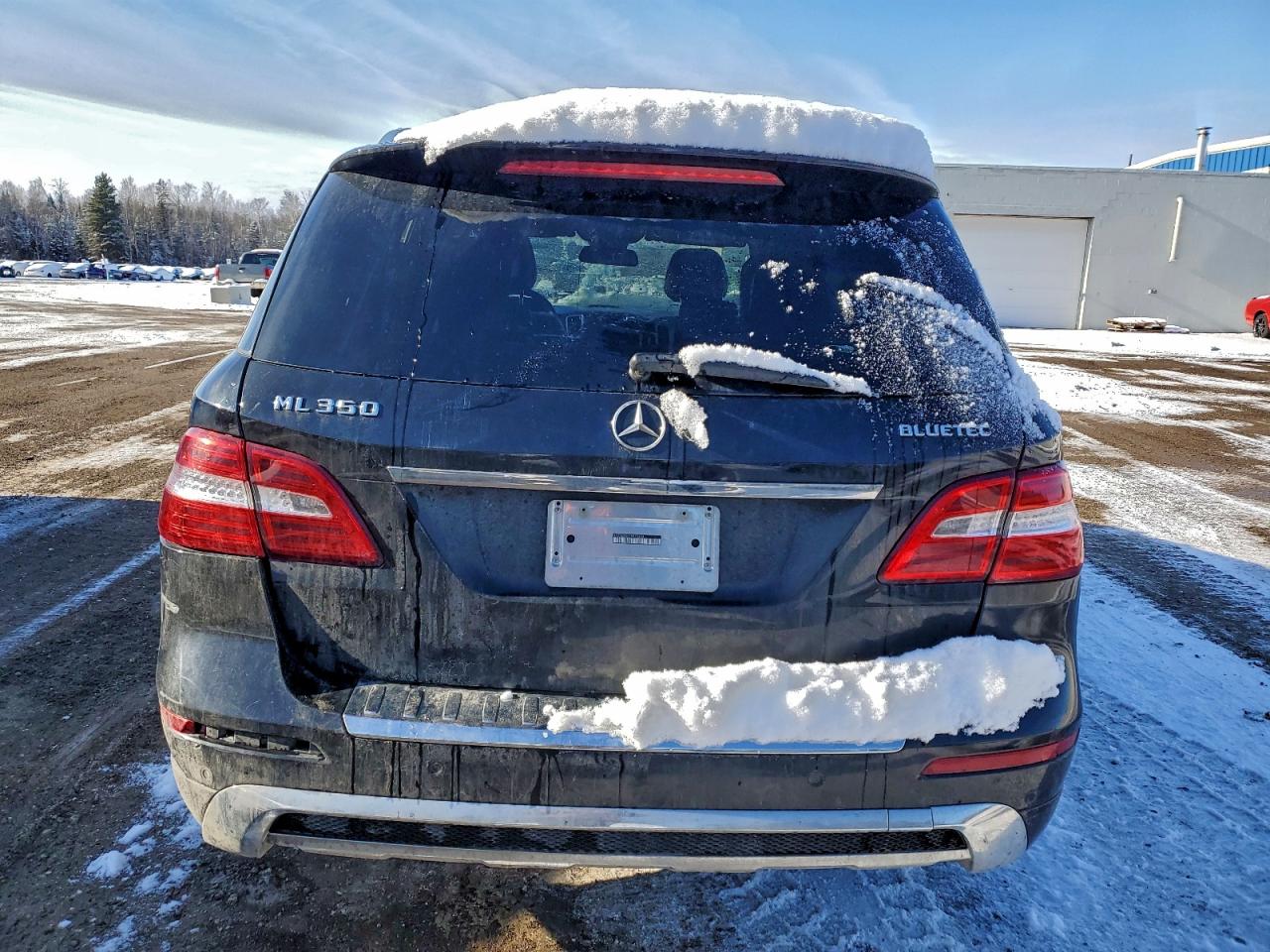 2015 Mercedes-Benz Ml 350 Bluetec VIN: 4JGDA2EB4FA493460 Lot: 95056695