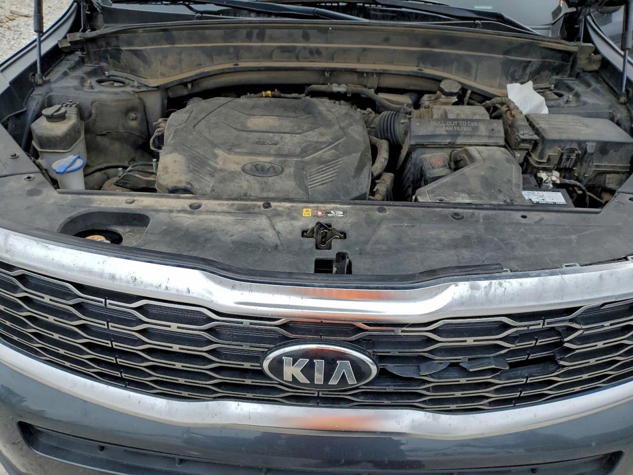 2021 Kia Telluride Ex VIN: 5XYP34HC3MG172096 Lot: 95541265