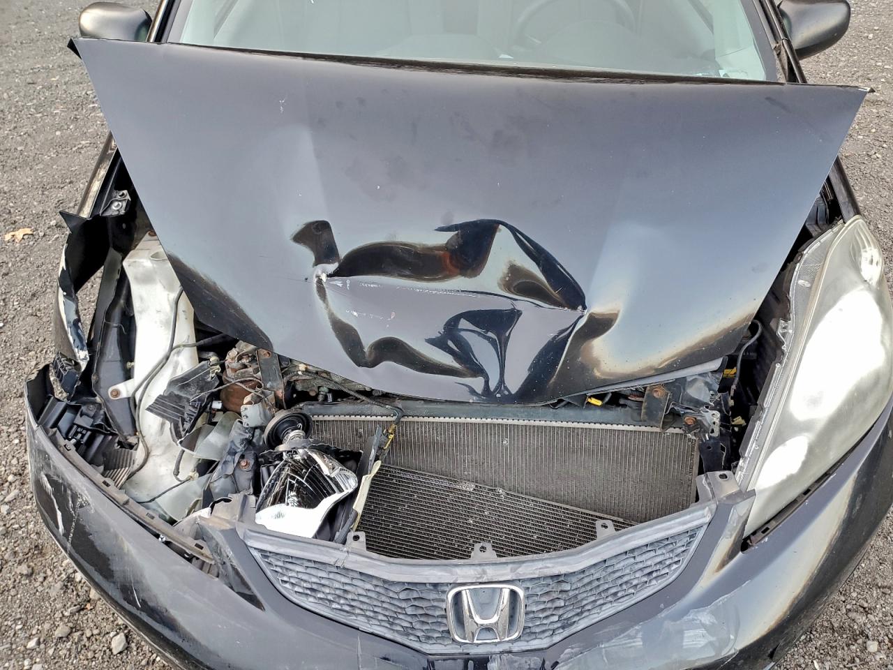 2009 Honda Fit VIN: JHMGE88279S025532 Lot: 94971395