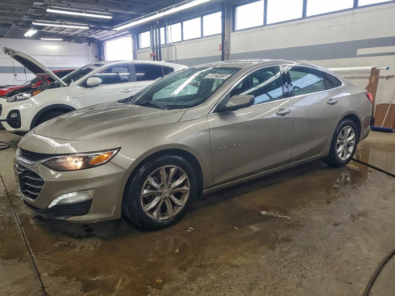 2022 Chevrolet Malibu Lt VIN: 1G1ZD5ST1NF181879 Lot: 95921415