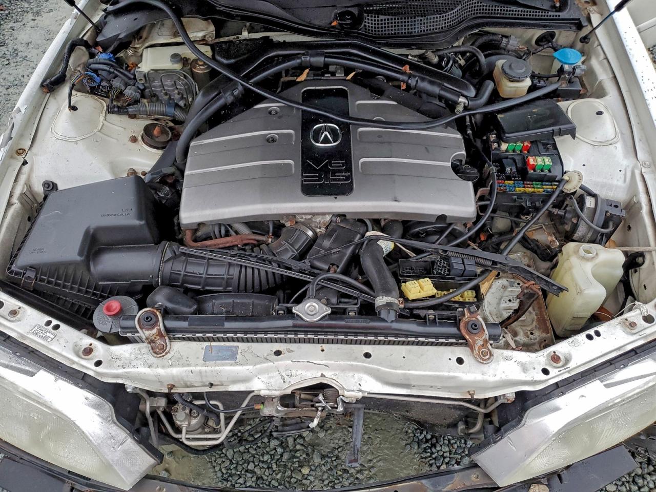 1996 Acura 3.5Rl VIN: JH4KA9645TC008536 Lot: 93995585