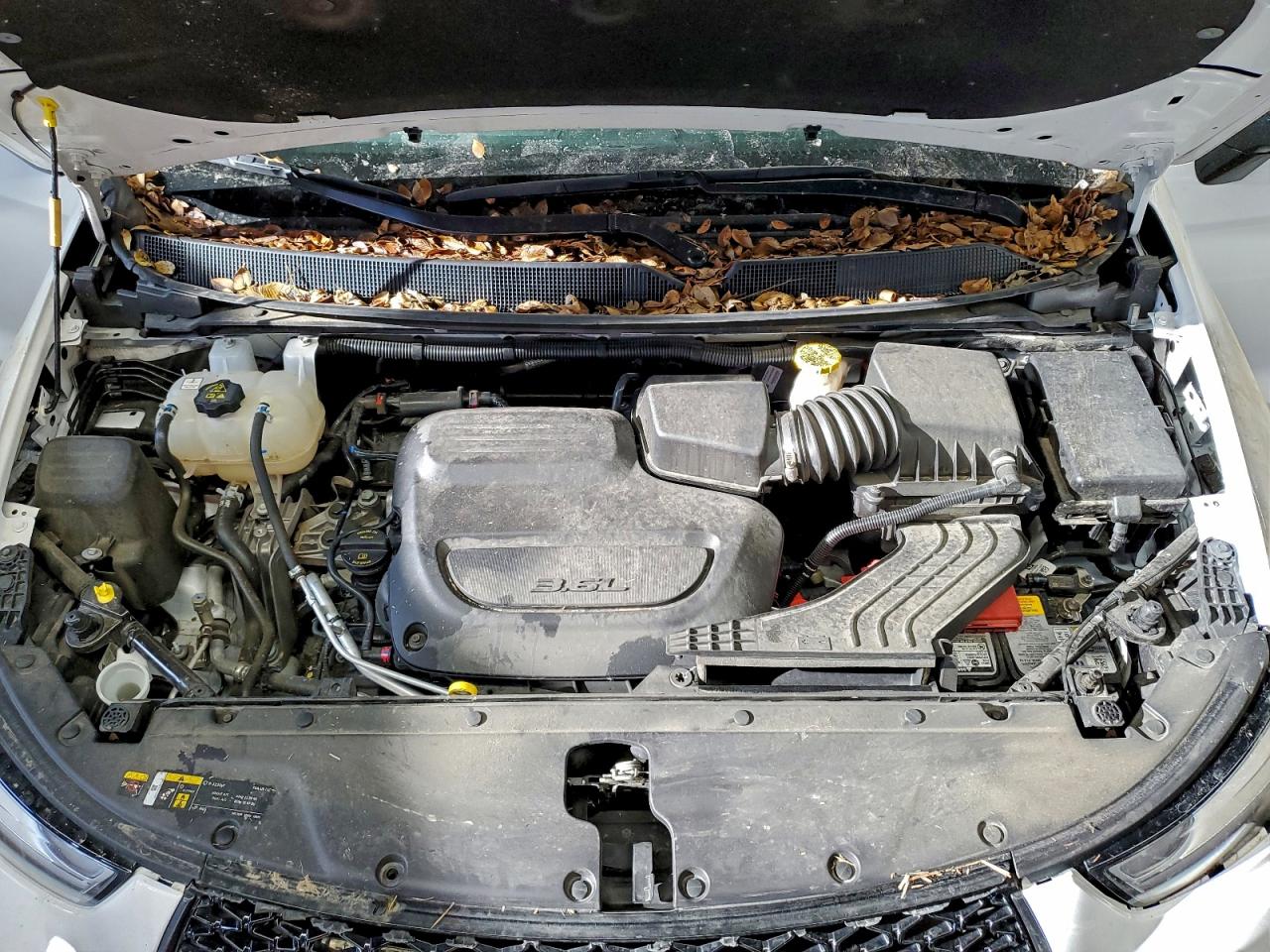 2025 Chrysler Pacifica Limited VIN: 2C4RC1GG7SR544303 Lot: 96374275