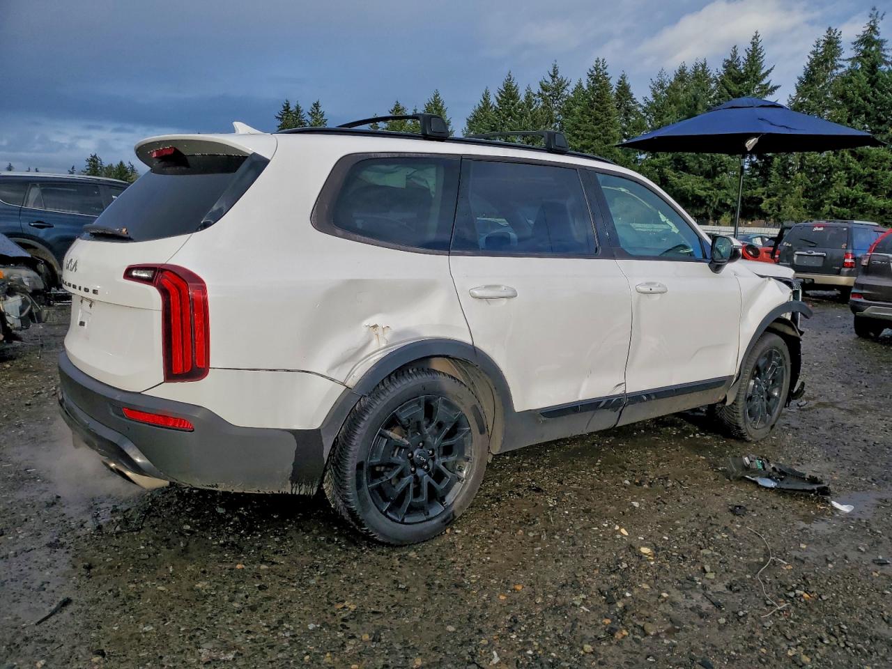 2022 Kia Telluride Sx VIN: 5XYP5DHC1NG272452 Lot: 96786205