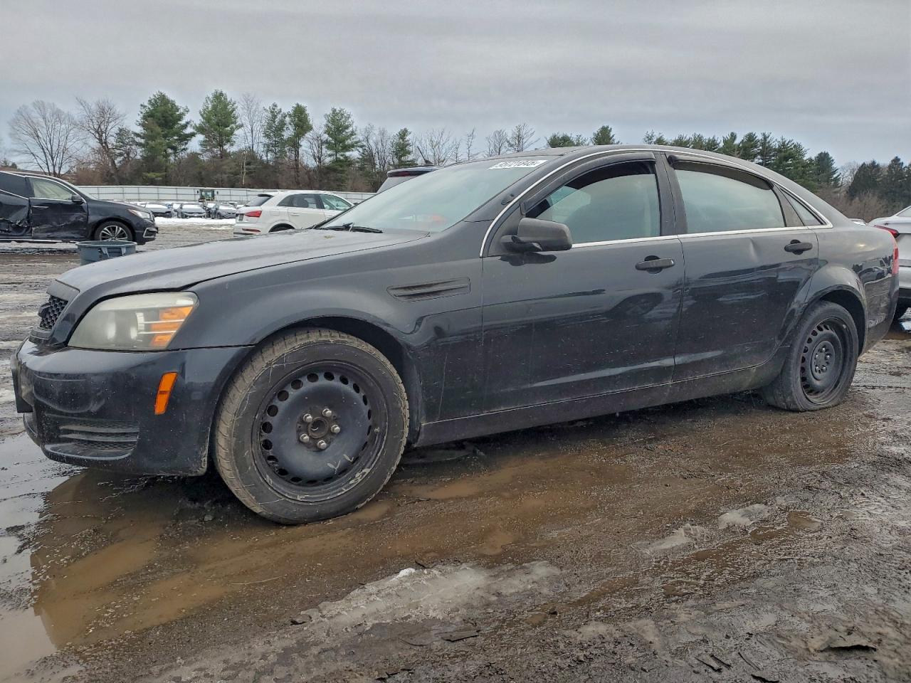 2012 Chevrolet Caprice Police VIN: 6G1MK5U24CL640392 Lot: 95721845