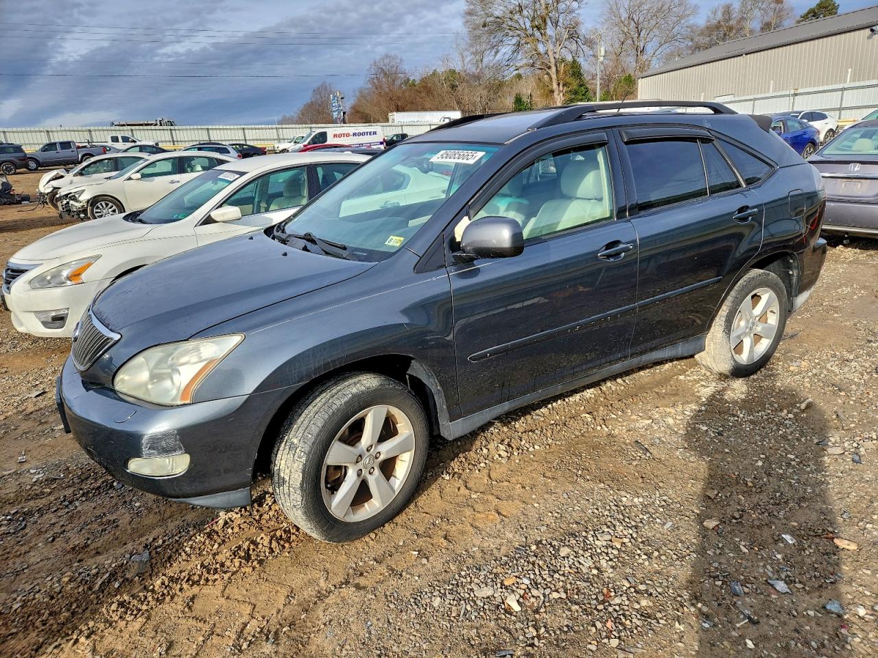 2004 Lexus Rx 330