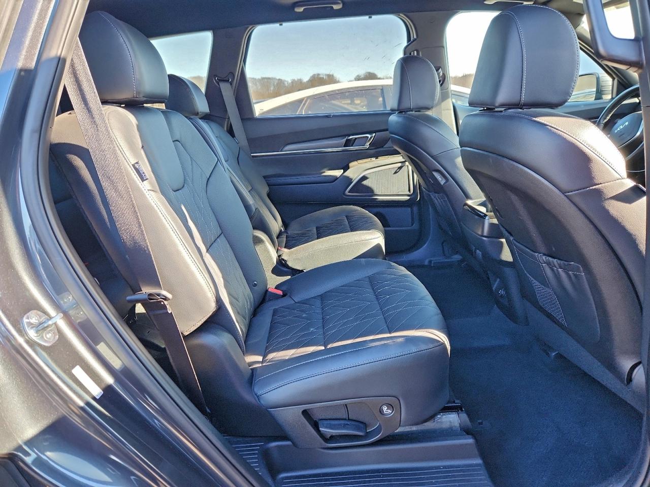 2024 Kia Telluride Ex VIN: 5XYP3DGC2RG437535 Lot: 94389645