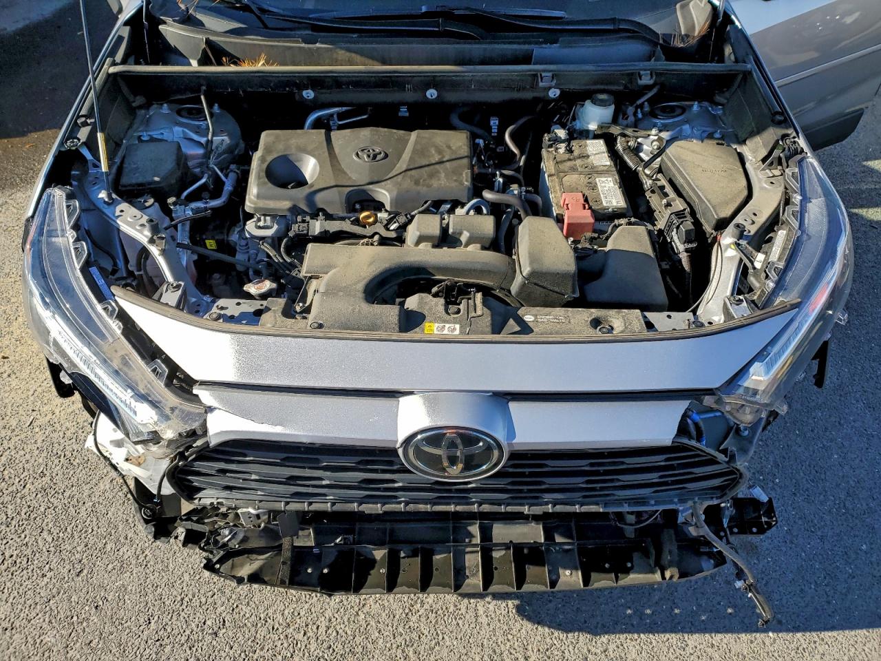 2023 Toyota Rav4 Xle Premium VIN: 2T3A1RFV1PC354092 Lot: 94862355