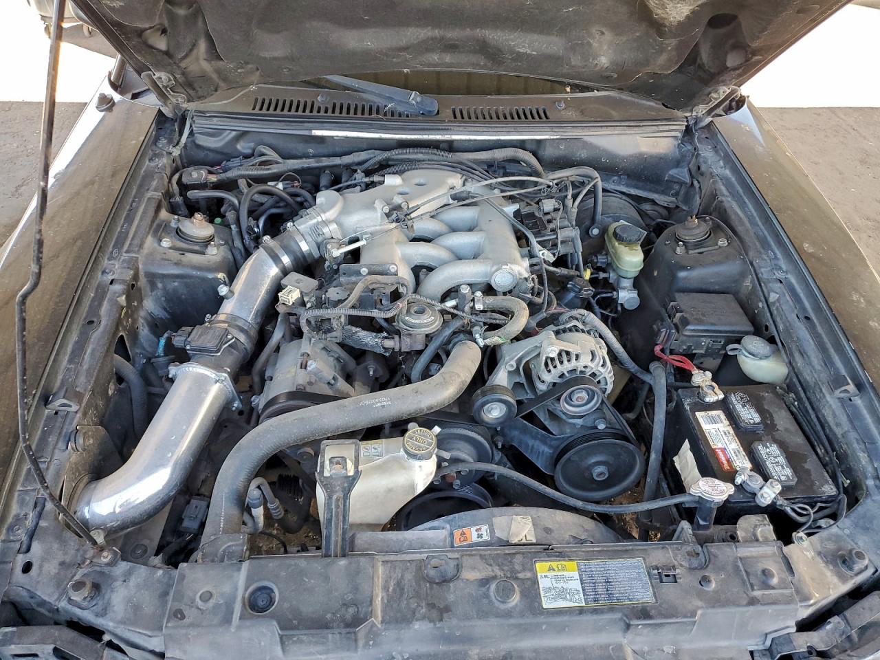 2001 Ford Mustang VIN: 1FAFP404X1F224929 Lot: 95775435