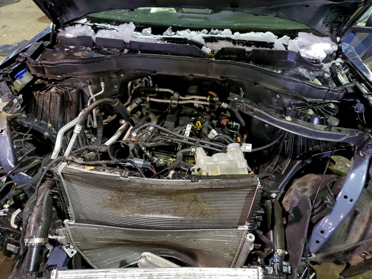 2021 Ford Explorer Xlt VIN: 1FMSK8DH4MGB69724 Lot: 95170515