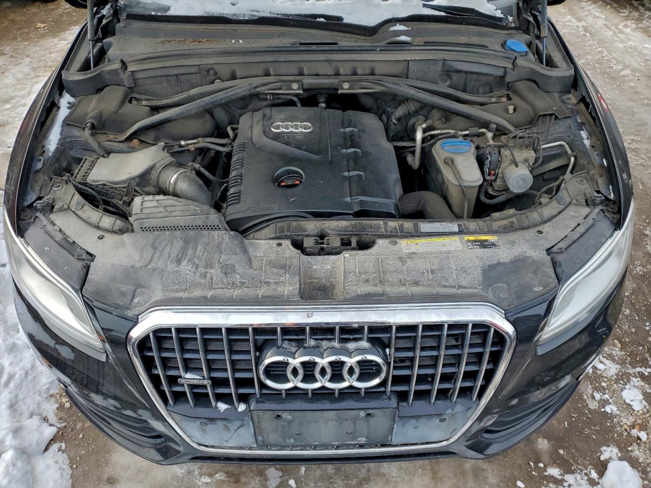 2013 Audi Q5 Premium Plus VIN: WA1LFAFP4DA092360 Lot: 96229115