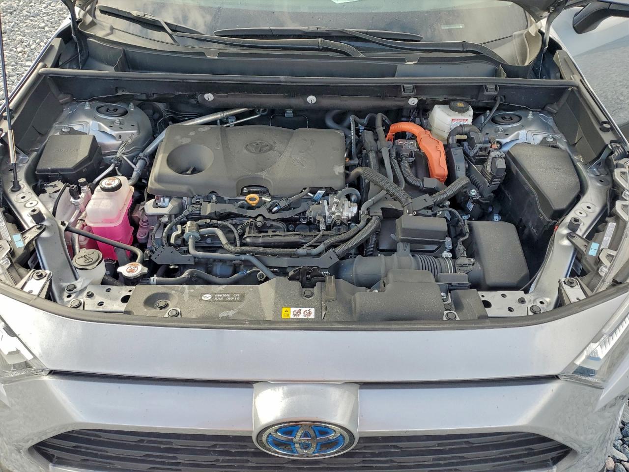 2024 Toyota Rav4 Xle VIN: 2T3RWRFV8RW251404 Lot: 96033895