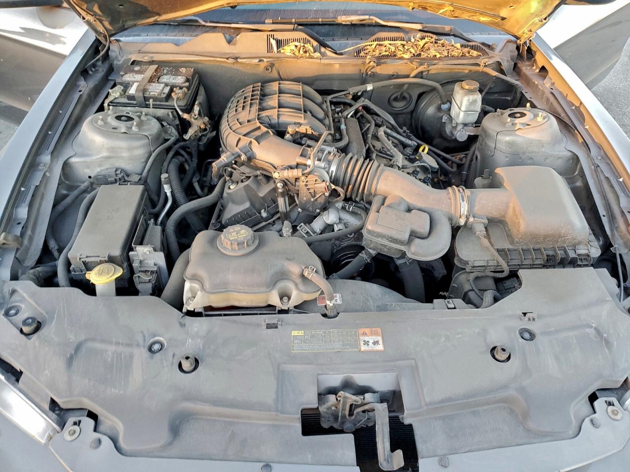 2011 Ford Mustang VIN: 1ZVBP8AM7B5169357 Lot: 94677715