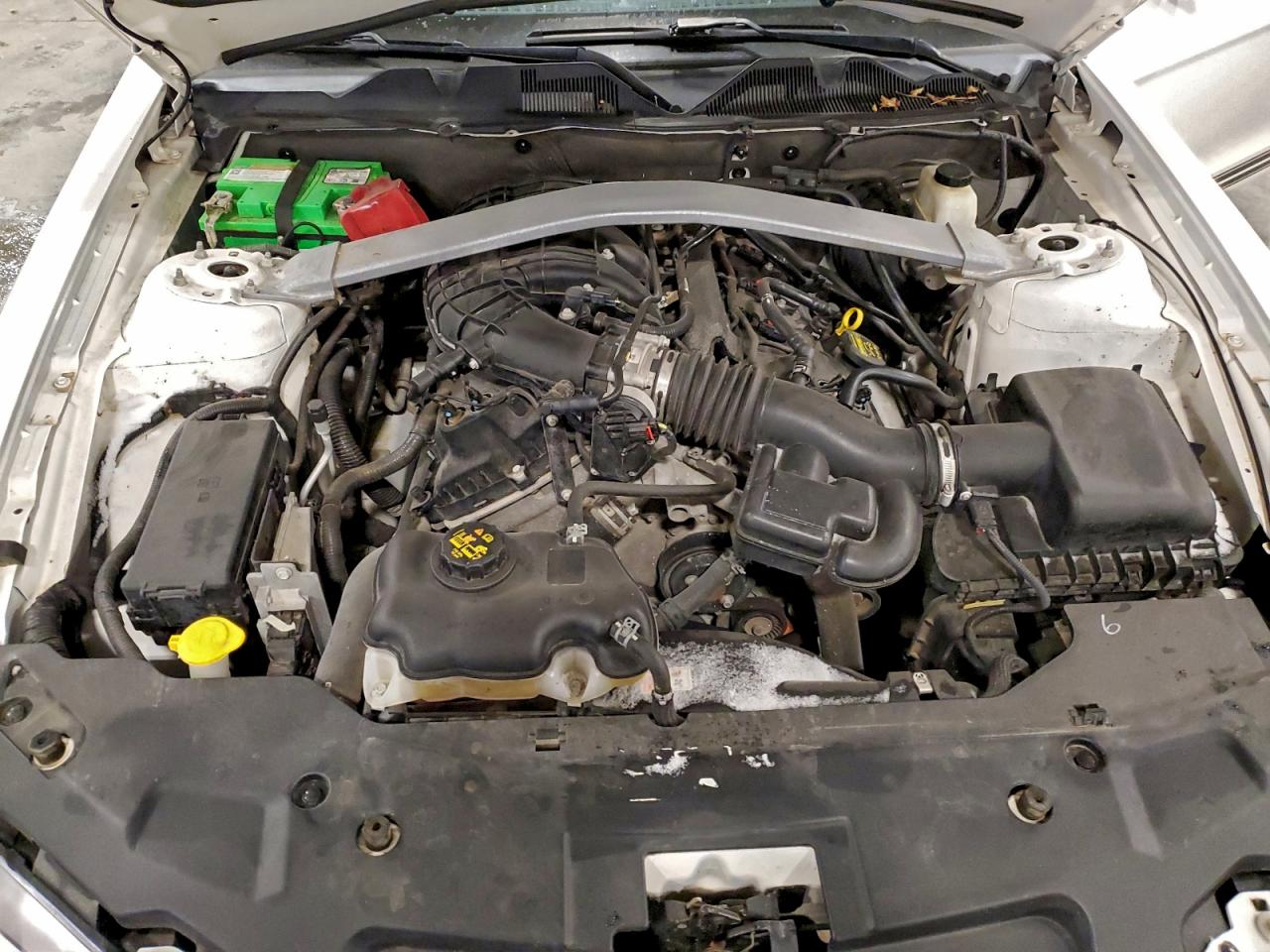 2012 Ford Mustang VIN: 1ZVBP8EM9C5203861 Lot: 95800615