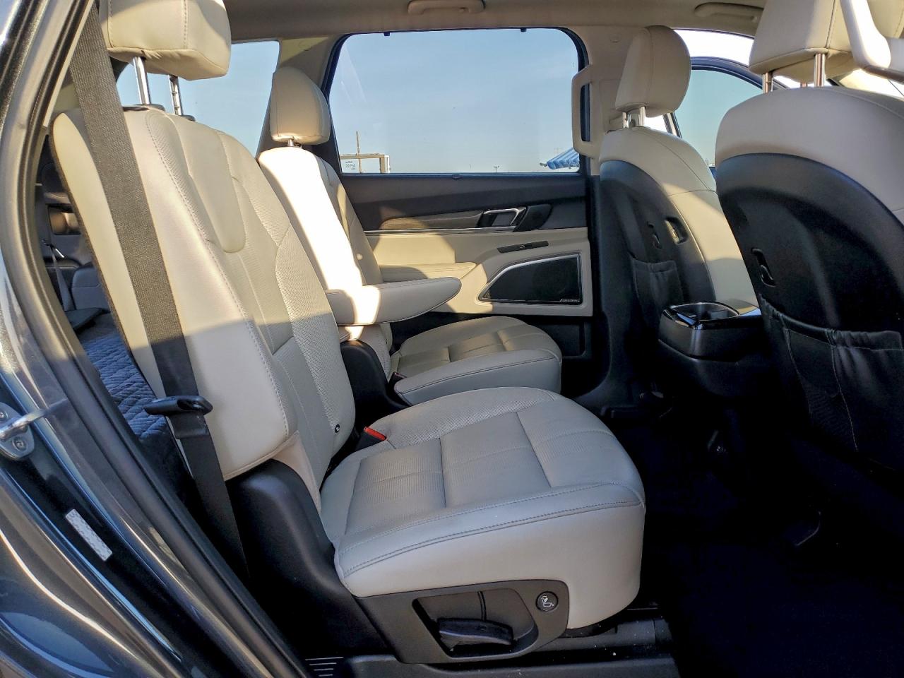 2021 Kia Telluride Sx VIN: 5XYP5DHC1MG096582 Lot: 94930885