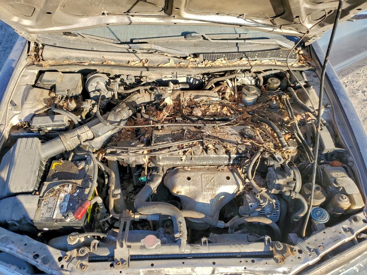 1996 Honda Accord Ex VIN: 1HGCD5561TA207542 Lot: 96100005