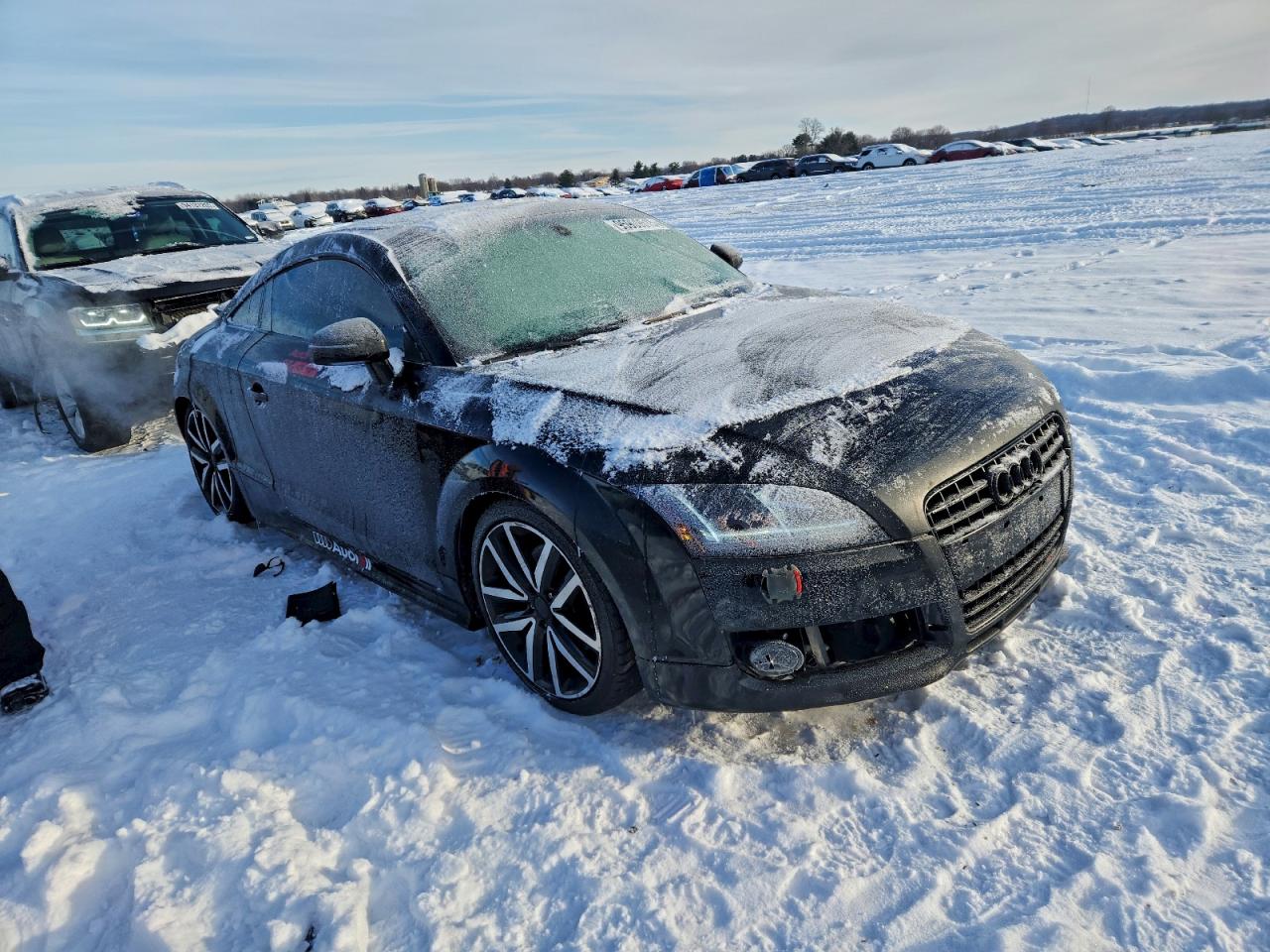 Фото: TRUAF38J481000189