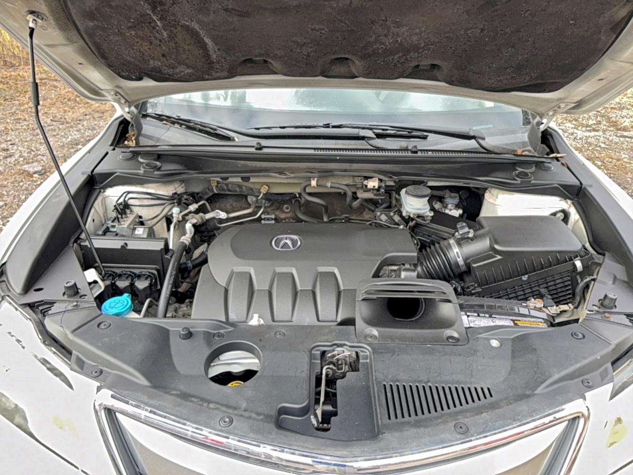 Фото: 5J8TB3H50EL005327