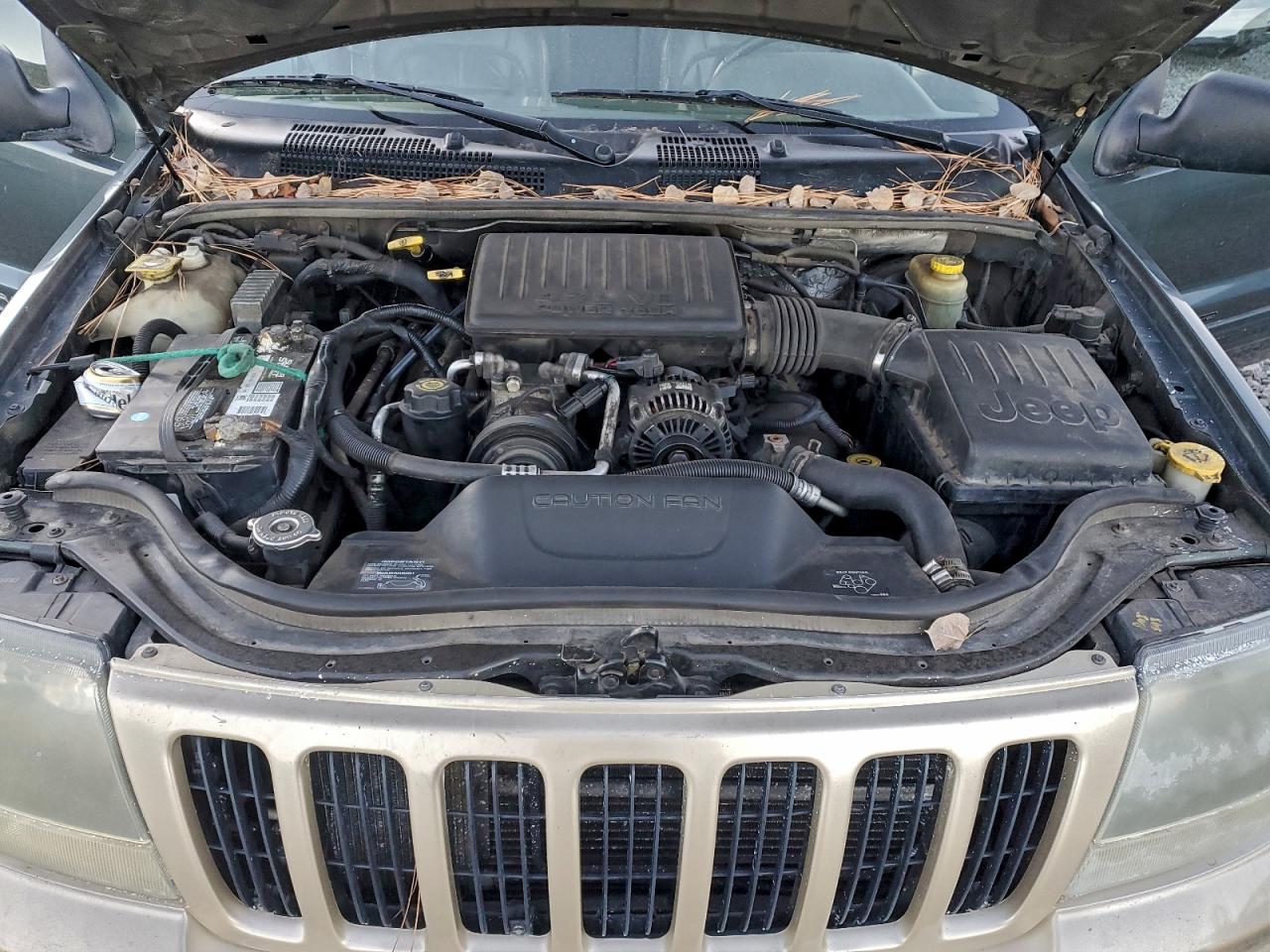 2003 Jeep Grand Cherokee Limited VIN: 1J4GW58NX3C549969 Lot: 94124555