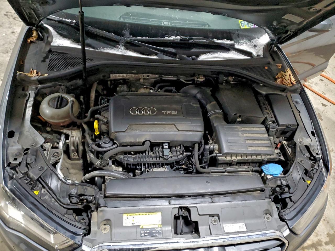 Фото: WAUB8GFF3G1012831